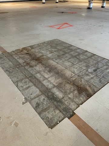 Vct - cape-may-true-value